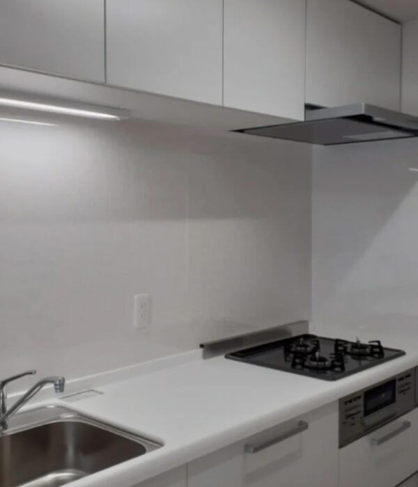 システムキッチン入替工事